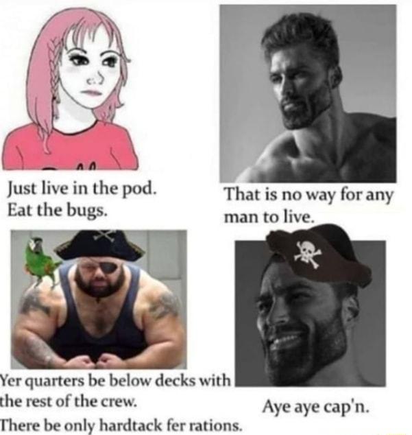 B S Just live in the pod That is no way for any Eat the bugs man to live Yer quarters be below decks with the rest of the crew Aye aye capn There be only hardtack fer rations