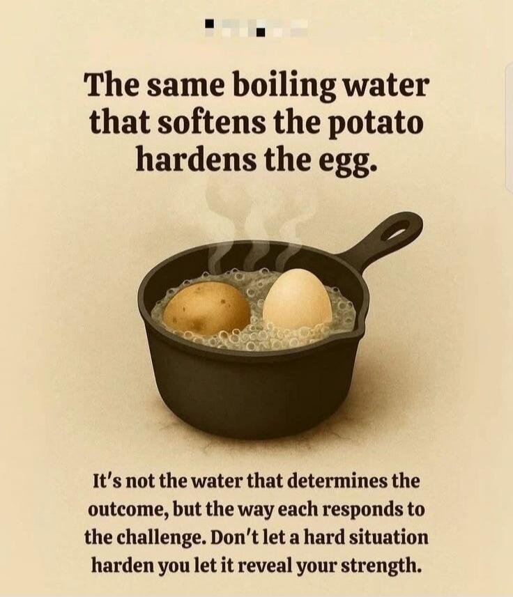 The same boiling water that softens the potato hardens the egg. It's not the water that determines the outcome, but the way each responds to the challenge. Don't let a hard situation harden you, let it reveal your strength.