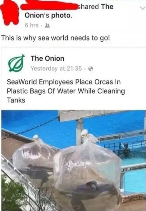 hared The Onions photo F This is why sea world needs to go The Onion SeaWorld Employees Place Orcas In Plastic Bags Of Water While Cleaning Tanks