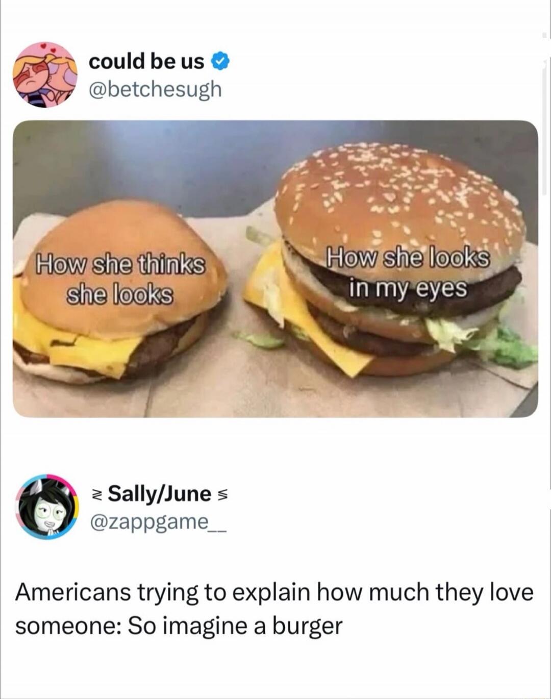 could be us @betchesugh How she thinks she looks How she looks in my eyes Sally/June @zappgame__ Americans trying to explain how much they love someone: So imagine a burger