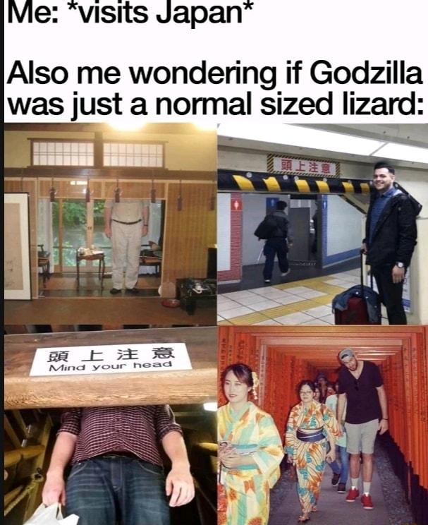 Vie visits Japan Also me wondering if Godzilla was just a normal sized lizard