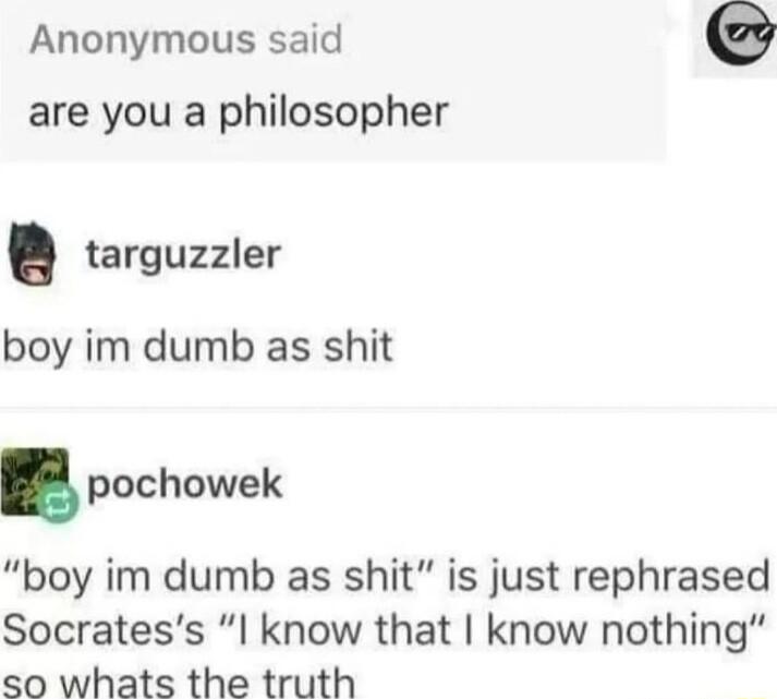 Anonymous said are you a philosopher targuzzler boy im dumb as shit pochowek boy im dumb as shit is just rephrased Socratess l know that know nothing so whats the truth