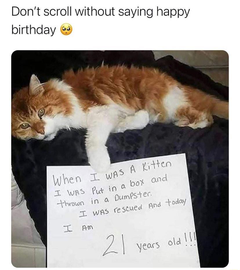 Dont scroll without saying happy birthday 2