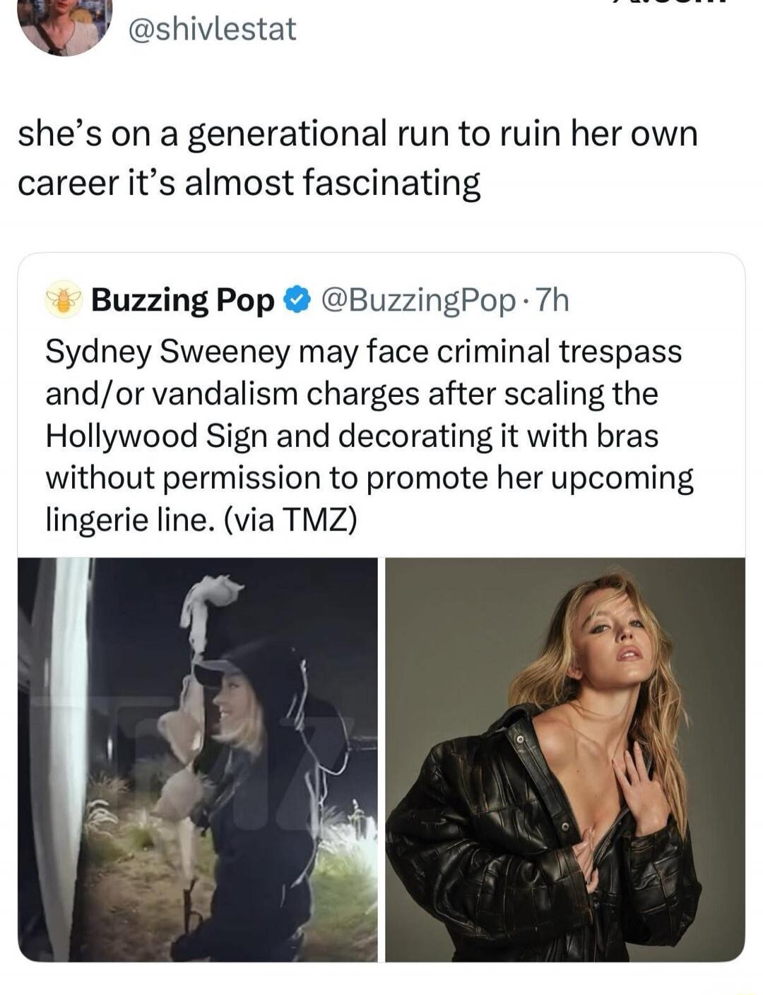 she’s on a generational run to ruin her own career it’s almost fascinating

Sydney Sweeney may face criminal trespass and/or vandalism charges after scaling the Hollywood Sign and decorating it with bras without permission to promote her upcoming lingerie line. (via TMZ)