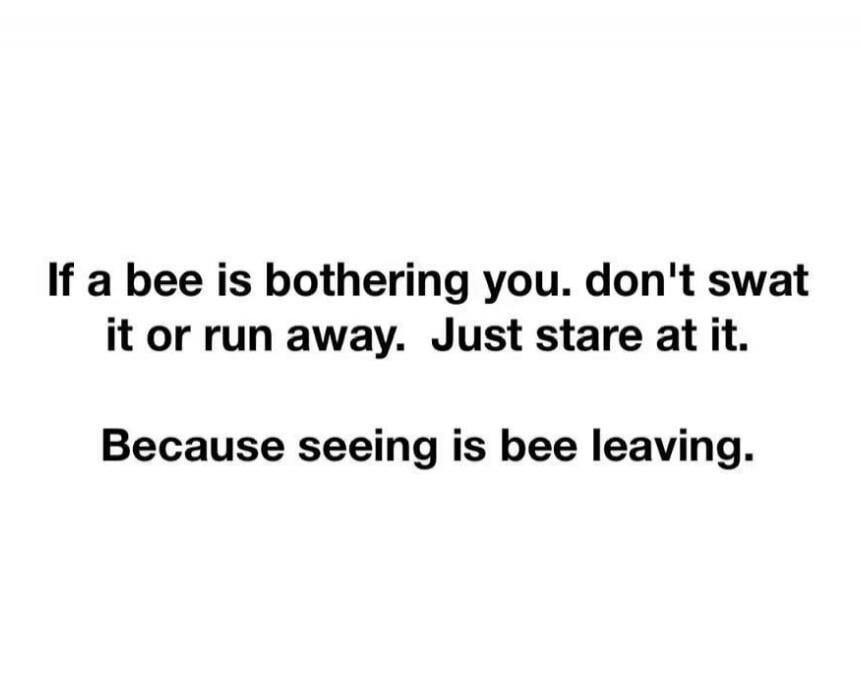 If a bee is bothering you. don't swat it or run away. Just stare at it. Because seeing is bee leaving.