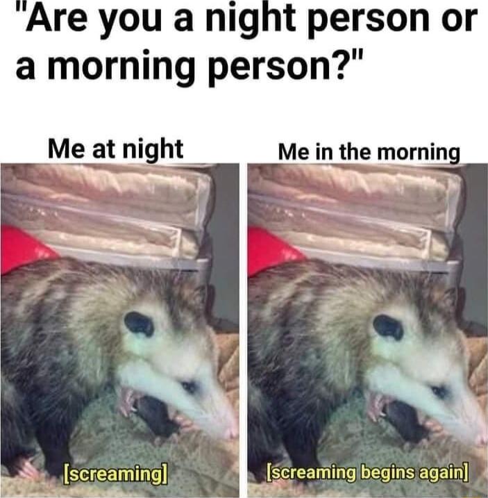 Are you a night person or a morning person