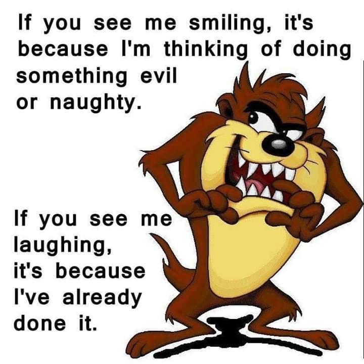 If you see me smiling its because Im thinking of doing something evil or naughty If you see me laughing its because Ive already done it x