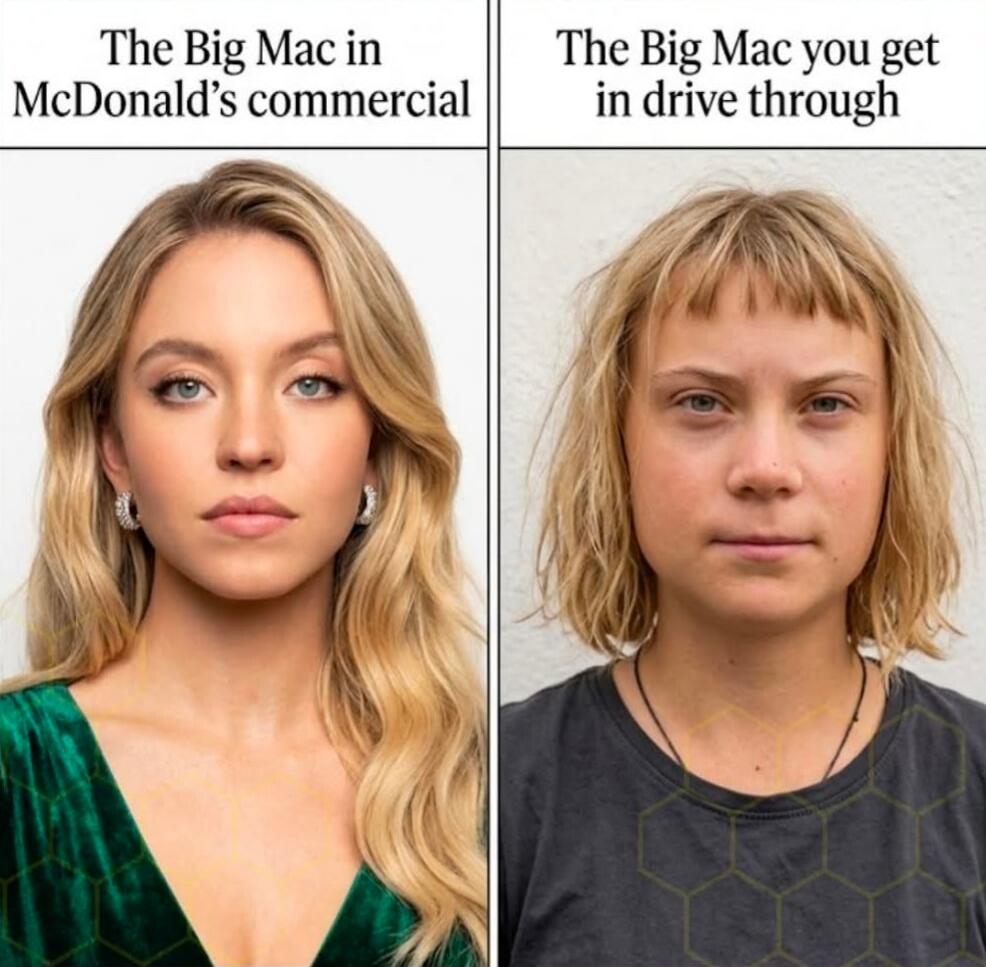 The Big Mac in McDonald's commercial. The Big Mac you get in drive through.