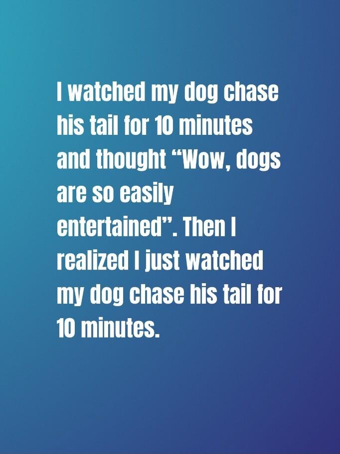 watched my dog chase his tail for 10 minutes and thought Wow dogs are so easily entertained Then realized just watched my dog chase his tail for 10 minutes