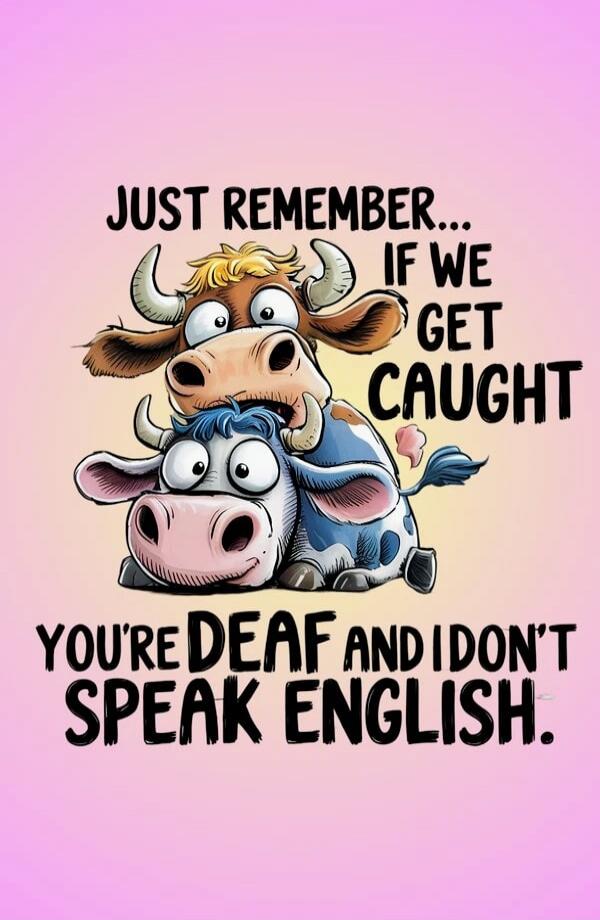 JUST REMEMBER... IF WE GET CAUGHT YOU'RE DEAF AND I DON'T SPEAK ENGLISH.
