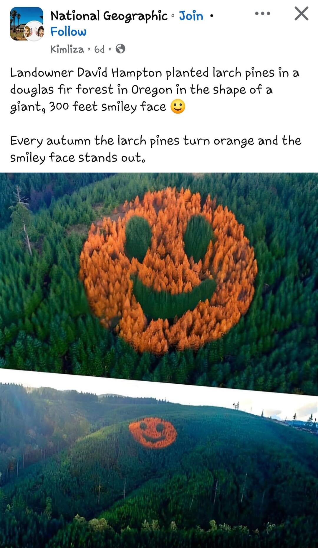 National Geographic Join Follow Kimliza Landowner David Hampton planted larch pines in a douglas fir forest in Oregon in the shape of a giant 300 feet smiley face Every autumn the larch pines turn orange and the smiley face stands out