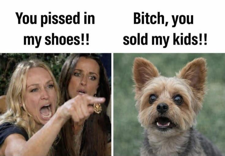 You pissed in my shoes!! Bitch, you sold my kids!!