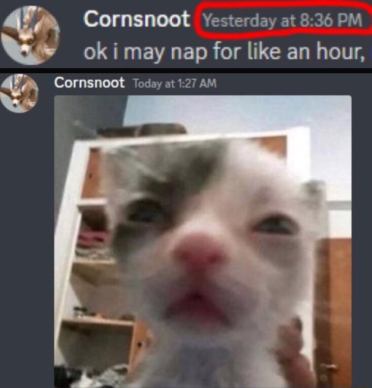 4 Cornsnoot Yesterday at 836 PM oA LS EVET R T T N T Cornsnoot Today at 127 AM i