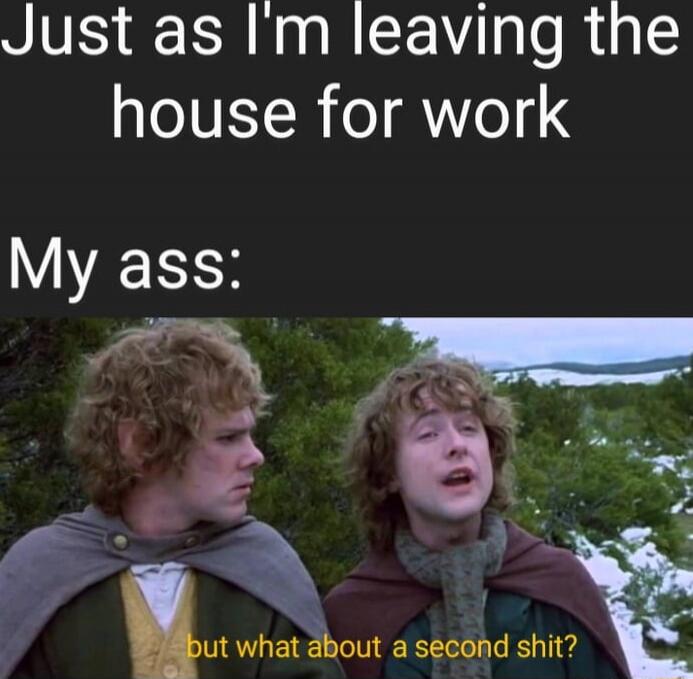 Just as I'm leaving the house for work
My ass:
but what about a second shit?