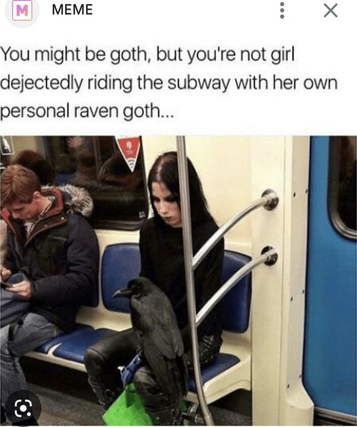 MEME You might be goth but youre not girl dejectedly riding the subway with her own personal raven goth