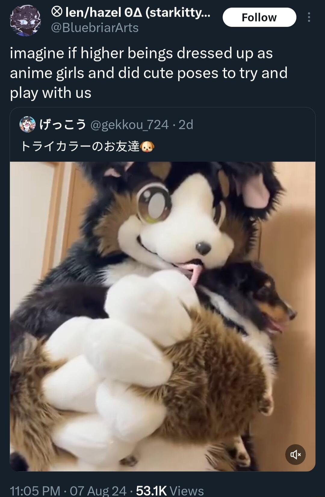 4 Tiy lenhazel OA starkitty g S BluebriarArts imagine if higher beings dressed up as anime girls and did cute poses to try and HEATIGITS 1FoC 5 gekkou 724 2d FSAHZDERE 1105 PM O7 Aug 24 631K Views