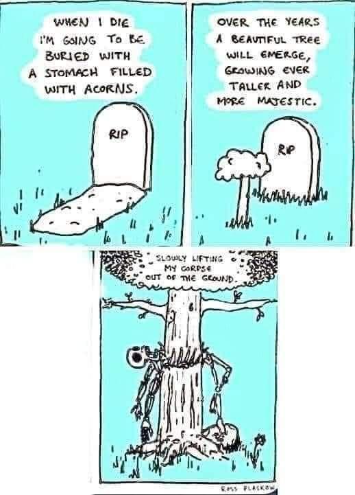 WHEN DIg OVER THE YeARS M GaING To BE A BeEAVIFUL TRee BURIED WITH WILL EMERGE A STOMACH FILLED GRAWING EVER WITH ACORNS TALLER AND o FLAiee