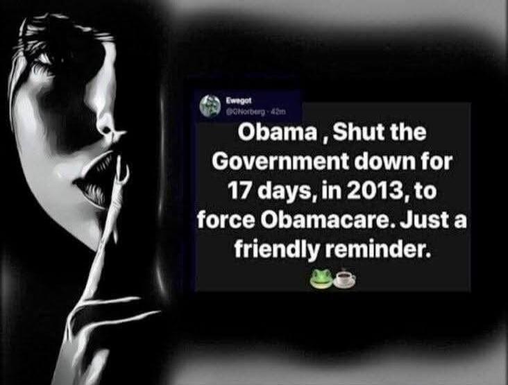 Obama, Shut the Government down for 17 days, in 2013, to force Obamacare. Just a friendly reminder.