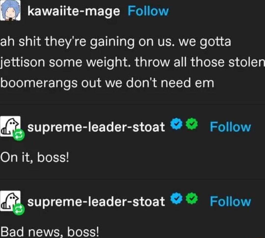 LEET R BT Rl ah shit theyre gaining on us we gotta jettison some weight throw all those stolen boomerangs out we dont need em m supreme leader stoat Follow On it boss msupreme leader stoat Follow Bad news boss