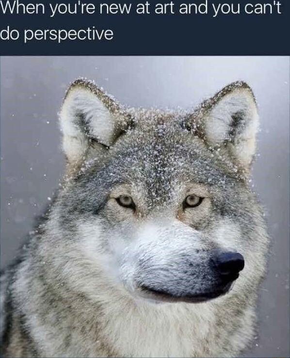 SaRYelVNcRalSl A 1 g 1ale AV0lV do perspective