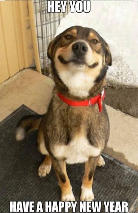 HEY YOU
HAVE A HAPPY NEW YEAR