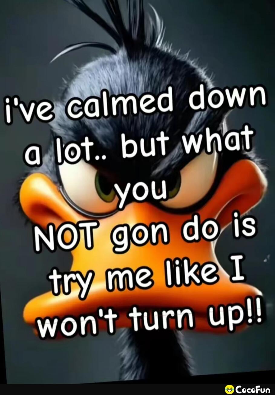 i've calmed down a lot.. but what you NOT gon do is try me like I won't turn up!!