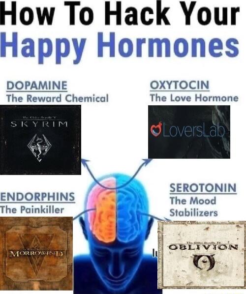 How To Hack Your DOPAMINE OXYTOCIN The Reward Chemical The Love Hormone SEROTONIN The Mood The Painkiller Stabilizers w