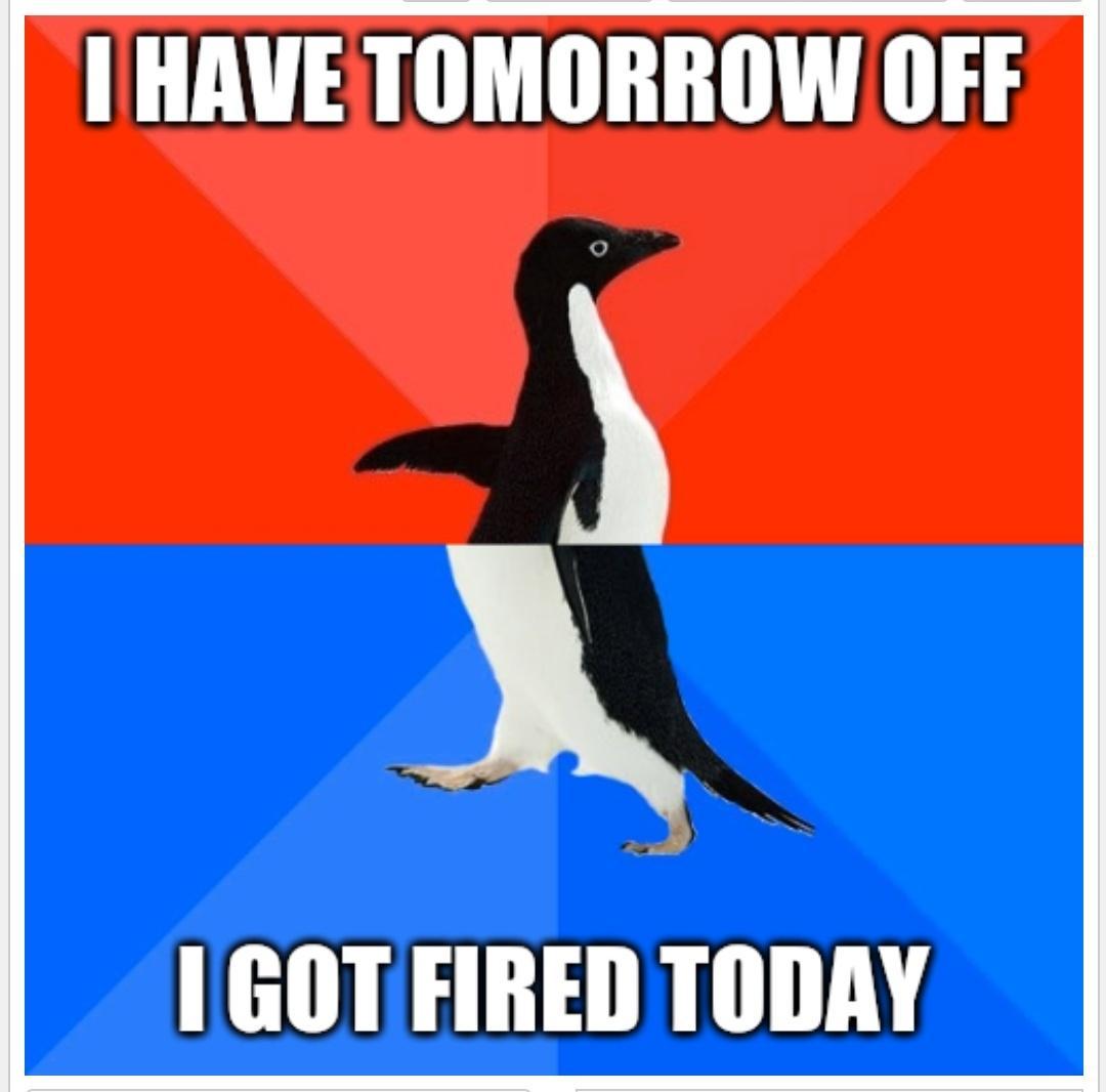 N GOT FIRED TODAY