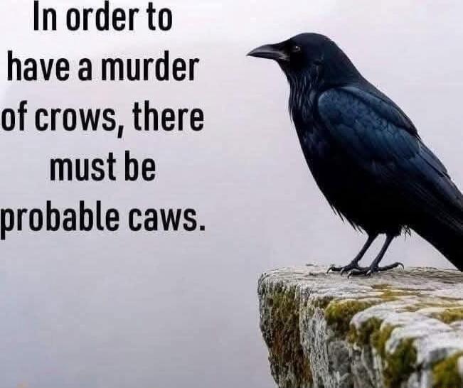Inorder to have a murder of crows there must be probable caws