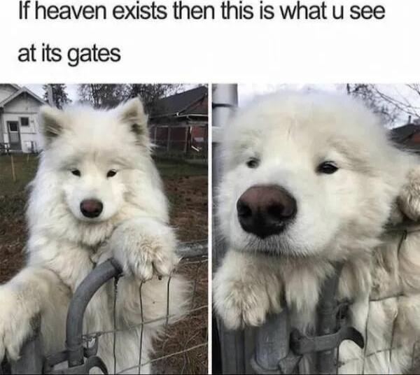 It heaven exists then this is what u see atits gates