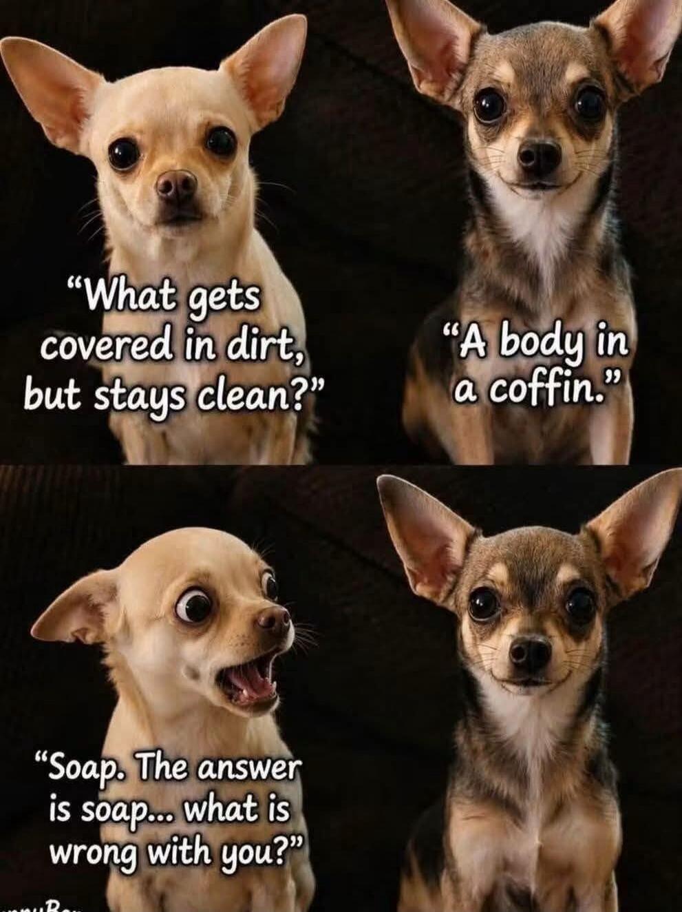 What gets covered in dirt, but stays clean? A body in a coffin. Soap. The answer is soap... what is wrong with you?