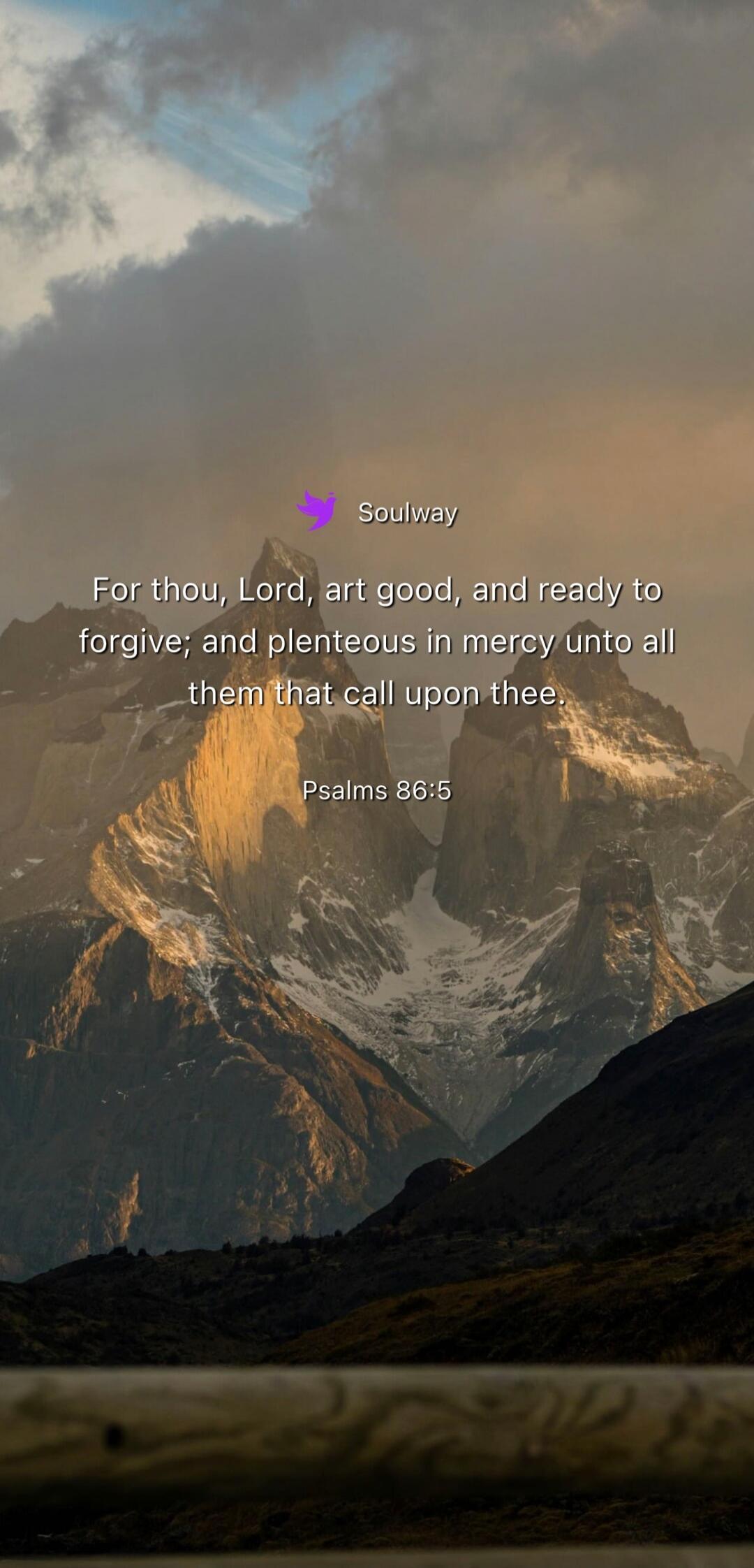 Soulway For thou, Lord, art good, and ready to forgive; and plenteous in mercy unto all them that call upon thee. Psalms 86:5