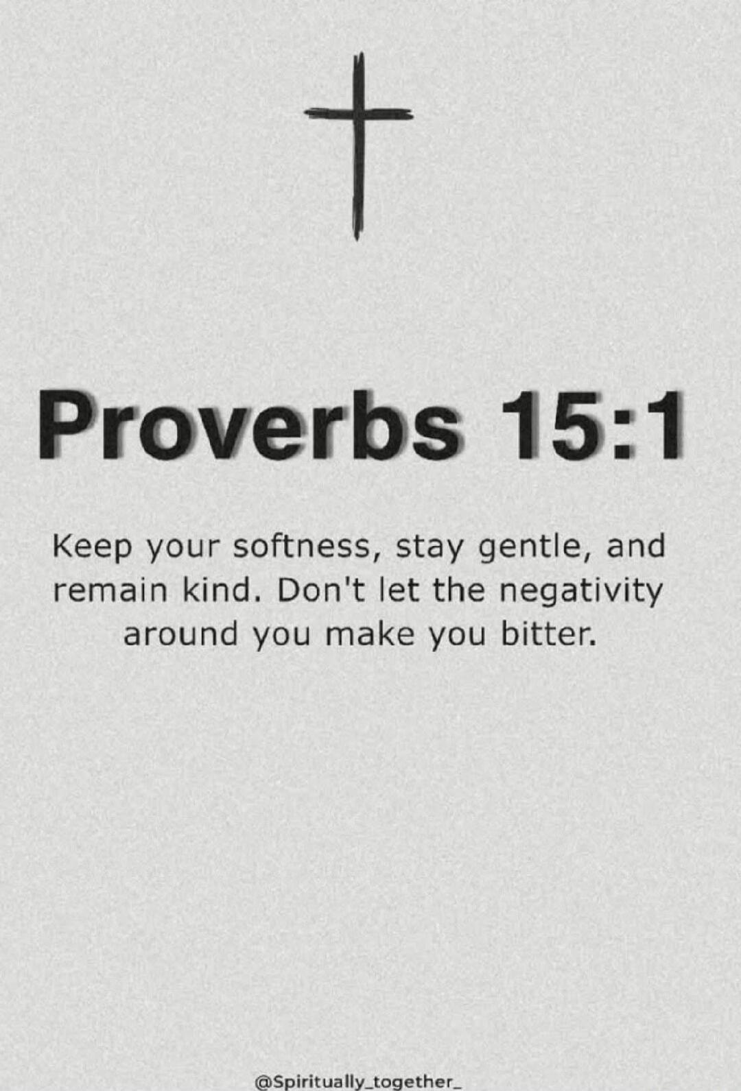 Proverbs 15:1
Keep your softness, stay gentle, and remain kind. Don't let the negativity around you make you bitter.