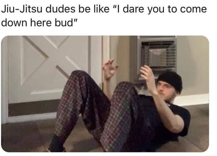 Jiu Jitsu dudes be like l dare you to come down here bud