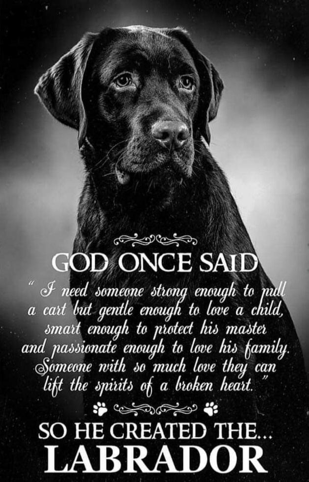GOD ONCE SAID 