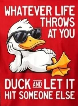 WHATEVER LIFE THROWS AT YOU DUCK AND LET IT HIT SOMEONE ELSE