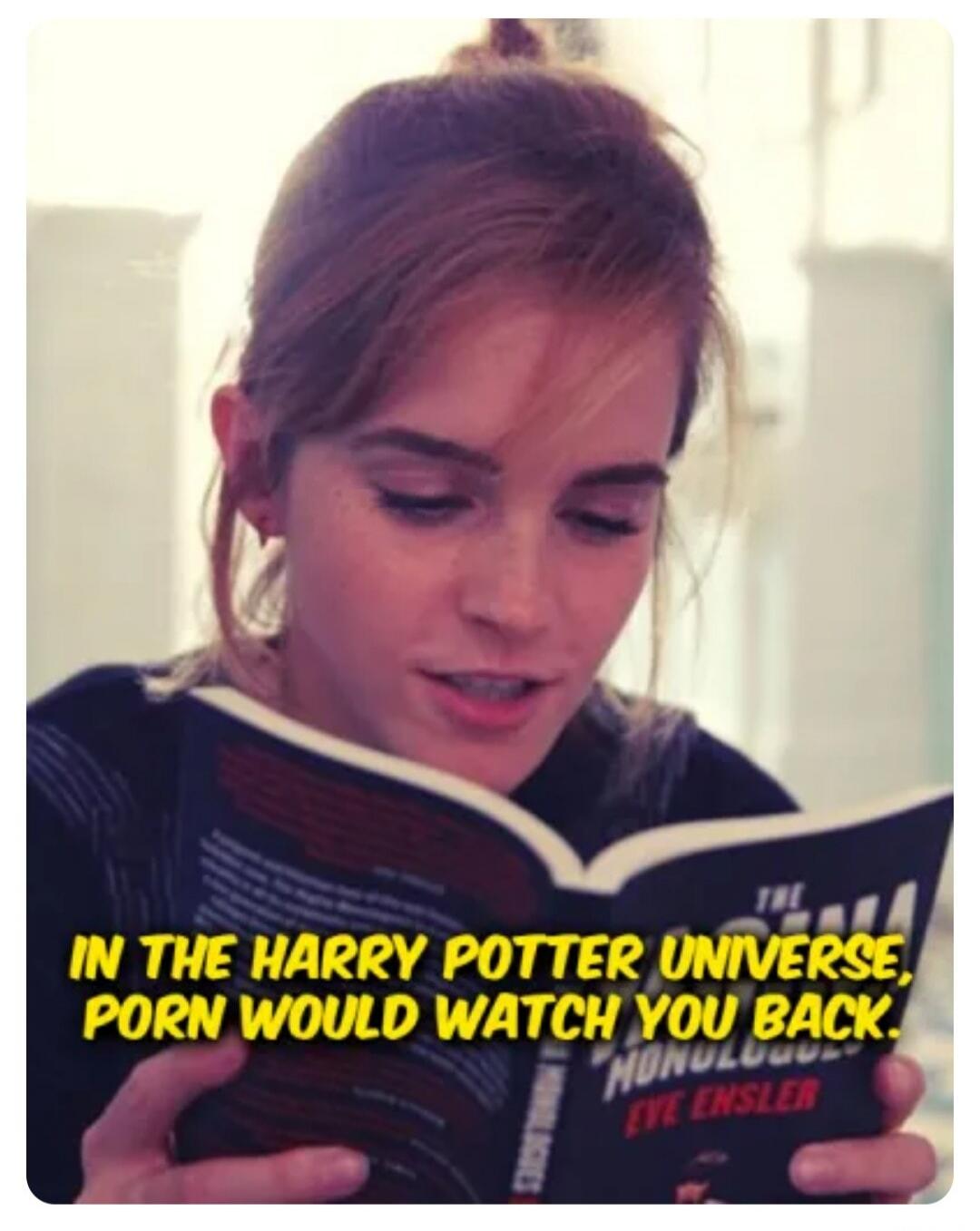 IN THE HARRY POTTER UNIVERSE, PORN WOULD WATCH YOU BACK.