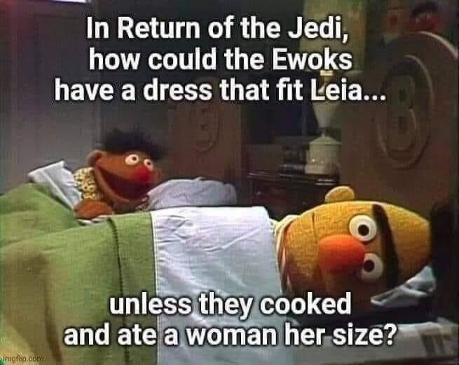 in TR R EREG TR how could the Ewoks have a dress that fit Leia UL ESSTIE LGS and ate amjiajj hersize2