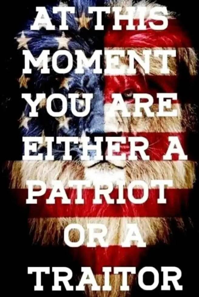 AT THIS MOMENT YOU ARE EITHER A PATRIOT OR A TRAITOR