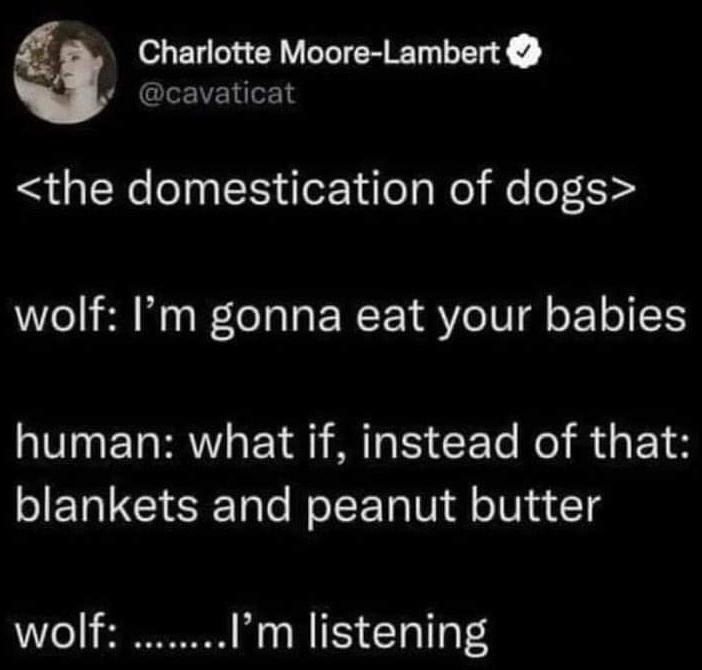 y cavaticat a Charlotte Moore Lambert the domestication of dogs wolf Im gonna eat your babies human what if instead of that I ET IS Tale Wol E Ta Vl l ojad1g wolf Im listening