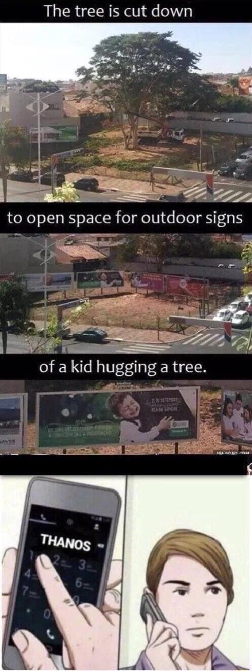 The tree is cut down