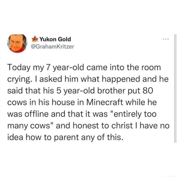 s Yukon Gold GrahamKritzer Today my 7 year old came into the room crying asked him what happened and he said that his 5 year old brother put 80 cows in his house in Minecraft while he was offline and that it was entirely too many cows and honest to christ have no idea how to parent any of this