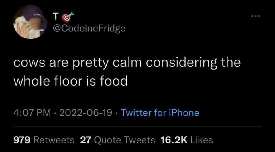 Te CodeineFridge cows are pretty calm considering the whole floor is food 407 PM 2022 06 19 Twitter for iPhone 979 Retweets 27 Quote Tweets 162K Likes