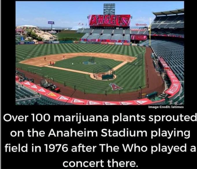 on the Anaheim Stadium playing field in 1976 after The Who played a concert there