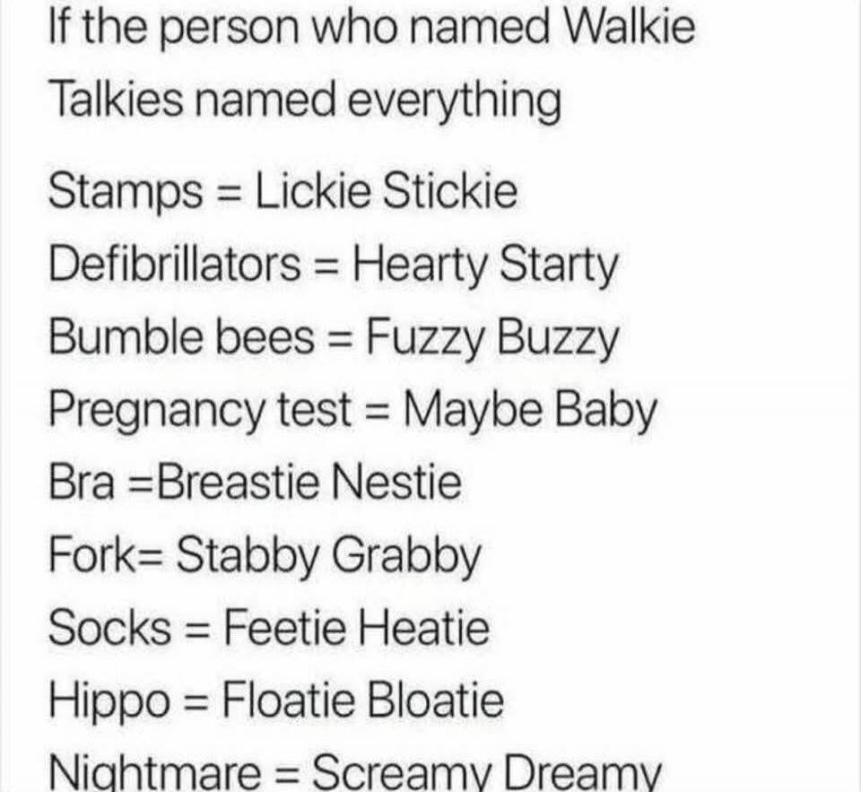 If the person who named Walkie Talkies named everything
Stamps = Lickie Stickie
Defibrillators = Hearty Starty
Bumble bees = Fuzzy Buzzy
Pregnancy test = Maybe Baby
Bra = Breastie Nestie
Fork = Stabby Grabby
Socks = Feety Heatie
Hippo = Floatie Bloatie
Nightmare = Screamy Dreamy