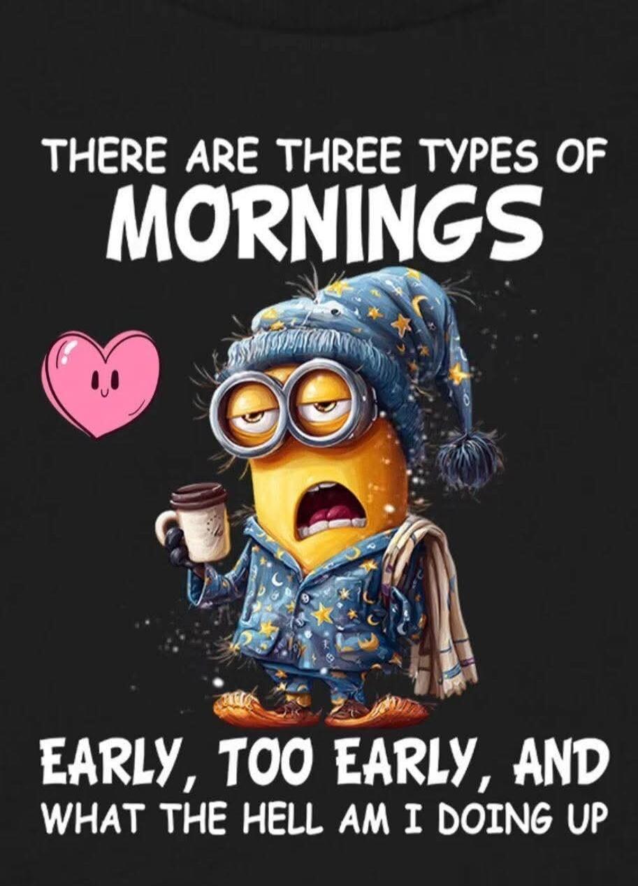 THERE ARE THREE TYPES OF MORNINGS EARLY, TOO EARLY, AND WHAT THE HELL AM I DOING UP
