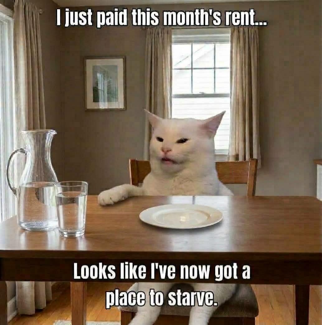 I just paid this month's rent... Looks like I've now got a place to starve.