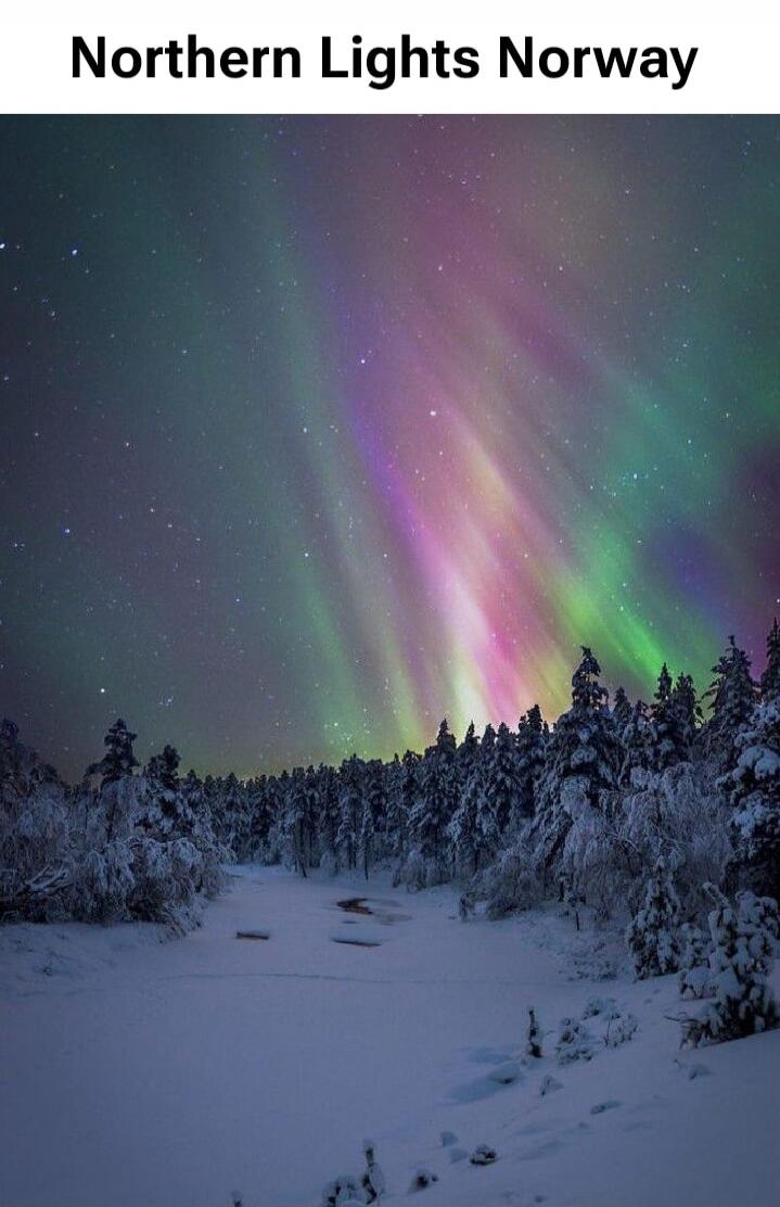 Northern Lights Norway