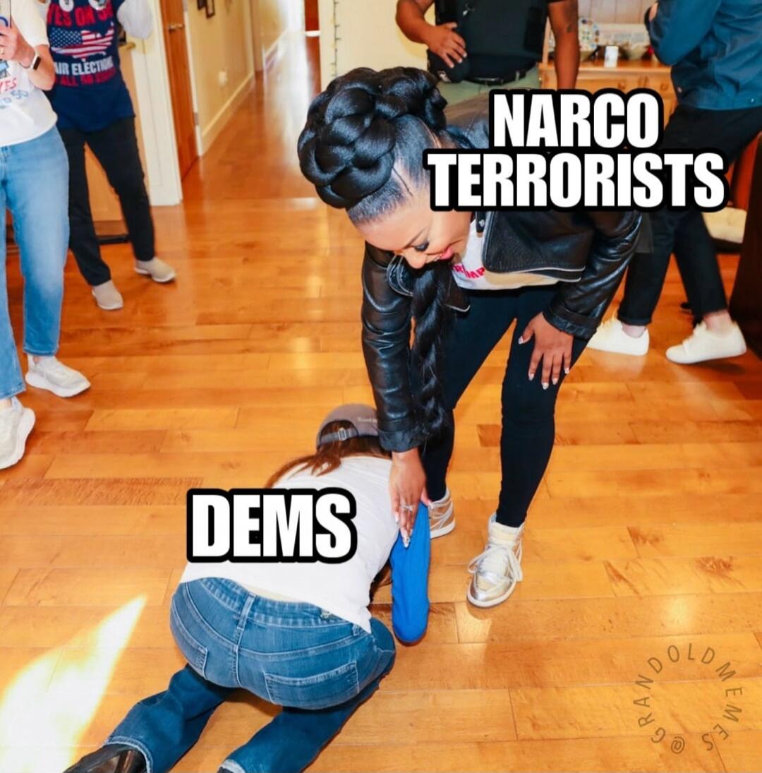 NARCO TERRORISTS DEMS