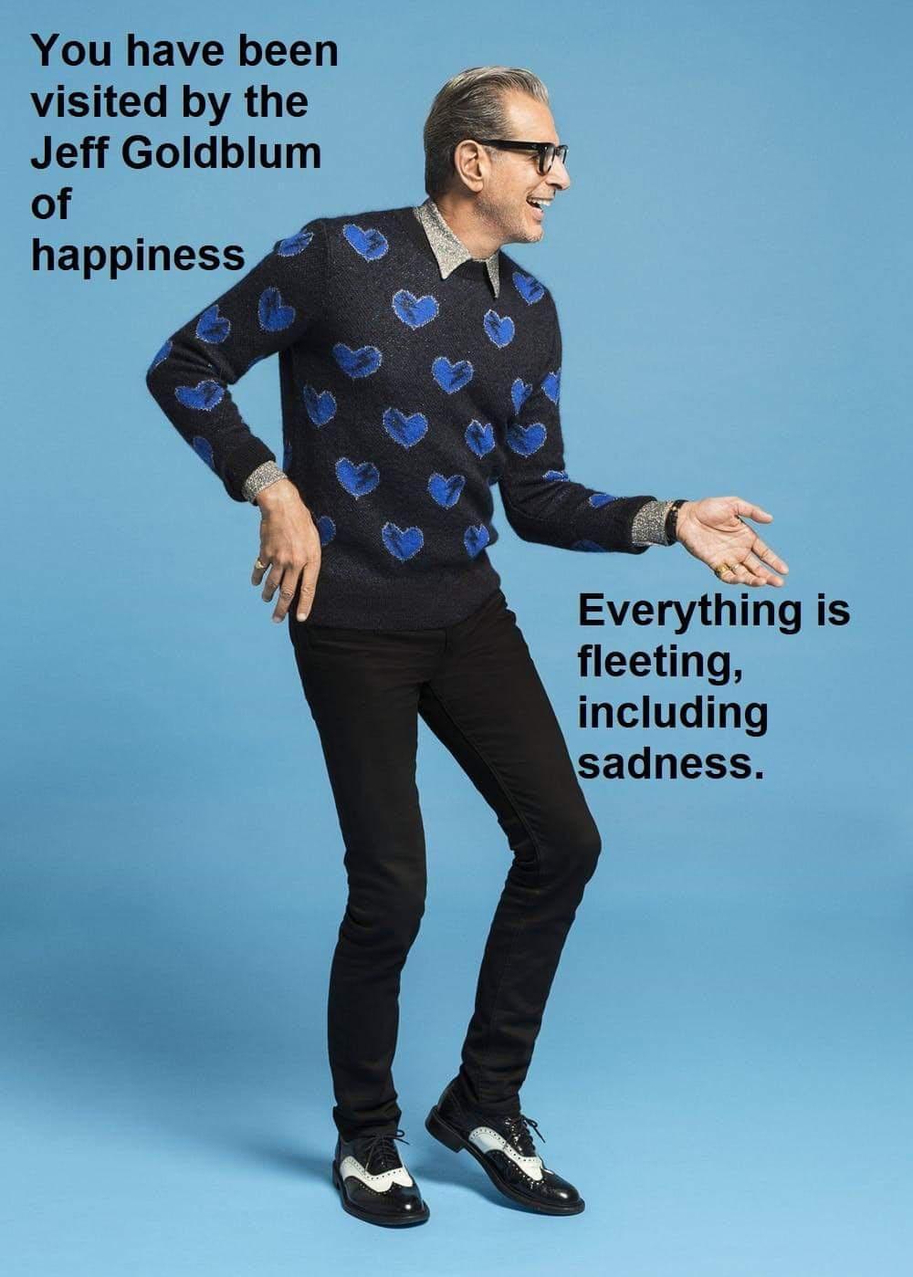 You have been visited by the Jeff Goldblum of happiness g SN Everything is fleeting including sadness